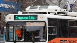 Троллейбусный парк Ставрополя расширят на 45 единиц