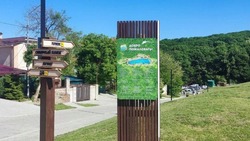 Около 30 специалистов поддерживают чистоту Комсомольского пруда в Ставрополе