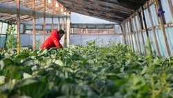 На 10% увеличилось на Ставрополье число предпринимателей в 2024 году