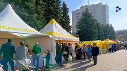 Товары ставропольских производителей будут продавать на ярмарках 16 ноября