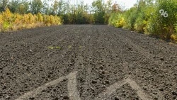 Опашку на территории более 84 км провели в Ставрополе 