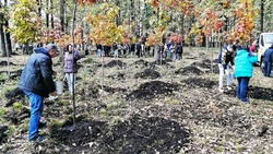 200 молодых дубов посадили в сквере Ставрополя