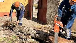 194 специалиста устраняли в Ставрополе последствия непогоды