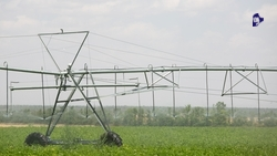 Оросительные системы на 6 тыс. га построят на Ставрополье