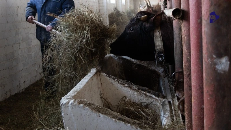 Поддержку фермеров будут развивать на Ставрополье