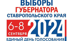 Ставропольцы смогут проголосовать на губернаторских выборах по месту нахождения