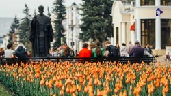 На Ставрополье в 2022 году для более 2,5 тысячи детей-сирот организуют туры по курортам региона за счёт краевого бюджета