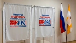 На выборах губернатора Ставрополья уже проголосовали 14% избирателей