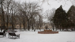 Сквер около лицея №8 отремонтируют в Ставрополе по федеральной программе