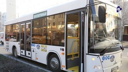 Новые автобусы позволили организовать около 100 маршрутов на Ставрополье