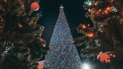 На главной площади Ставрополя устанавливают новогоднюю ель высотой 25 метров 