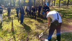 Ещё 200 деревьев посадили в Ленинском районе Ставрополя
