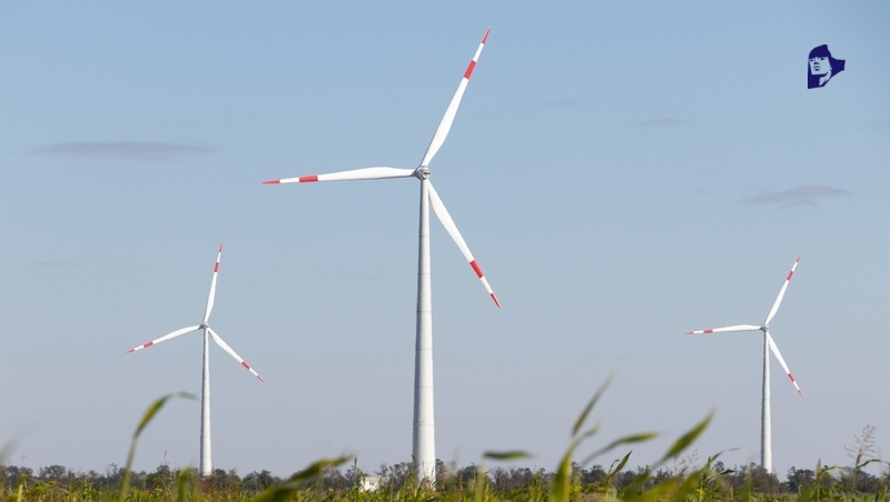 Четыре регпроекта реализуют на Ставрополье для развития экономики 