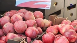 Первая летняя ярмарка пройдёт в Ставрополе 1 июня