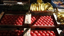 Более 40 ставропольских фермеров представят товары на ярмарках 13 апреля