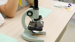 22 агрокласса откроют в школах Ставрополья в 2026 году