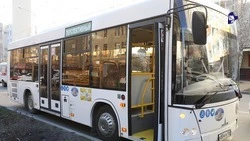 Новые автобусы позволили организовать около 100 маршрутов на Ставрополье