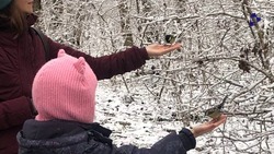 Ставрополье примет участие во Всероссийской экологической акции «Хранители птиц»