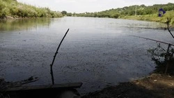 Около 40 мероприятий по уборке водоёмов прошло в Ставрополе с начала года