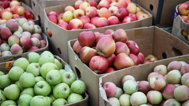 34,4 тыс. ярмарок провели на Ставрополье в 2025 году