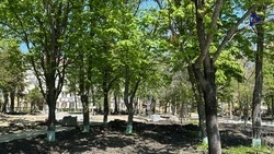 Благоустройство сквера завершают в Ставрополе