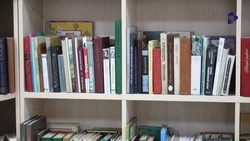 В двух библиотеках Ставрополя завершили ремонт электрики и приступили к отделке