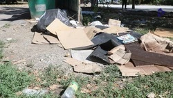 Контракты по санитарной очистке территорий у мусорных баков заключат на Ставрополье