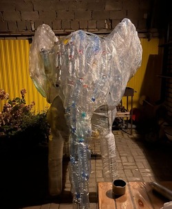 Слона из 500 пластиковых бутылок покажут ставропольцам в День города