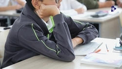 Учебники по обществознанию закупят на Ставрополье в 2026 году