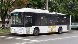 Муниципальный транспорт Ставрополя готов к зиме