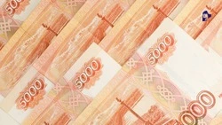 Ставропольские предприниматели смогут получить субсидии до 600 тыс. руб.