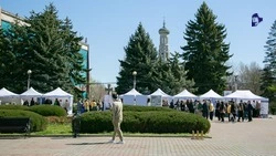 Участникам СВО помогут найти работу на ярмарке вакансий на Ставрополье