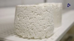 Ставрополье на 2,3% нарастило экспорт молочной и мясной продукции
