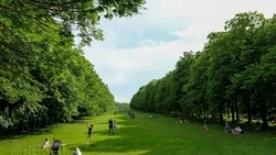 На площадке Пионерского пруда в Ставрополе пройдут два концерта