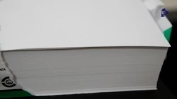 Центр технологического предпринимательства Ставрополья получил 70 заявок за год 