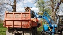 Первый субботник в Ставрополе пройдёт 6 апреля