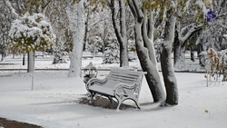 Режим повышенной готовности из-за снегопада и сильного ветра установили на Ставрополье