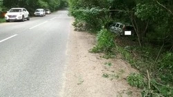 В Ставрополе двое попали в больницу, врезавшись на «Ладе» в дерево
