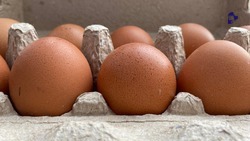 Более 100 тыс. яиц продали сельхозпроизводители на ярмарках в Ставрополе