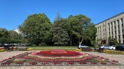 Порядка 400 тыс. цветов высадили на клумбах Ставрополя