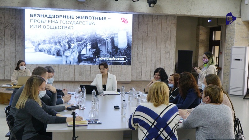 В Ставрополе депутаты и общественники обсудили проблему содержания бездомных животных