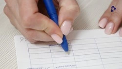 Количество самозанятых ставропольцев выросло на 56 тыс. человек за год