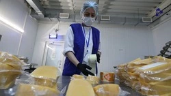 На Ставрополье число малых и средних предприятий выросло на 15%