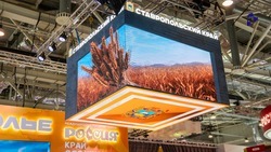 День молодёжи провели на выставке на ВДНХ в Москве  