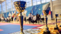 Ставропольские тхэквондисты представят край на всероссийском турнире