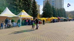 Три продуктовые ярмарки пройдут в Ставрополе 6 и 7 июля