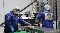 Губернатор Ставрополья: В регионе действует более 70 инструментов для бизнеса