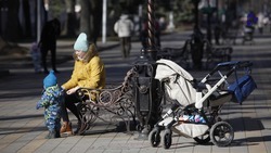 Ставропольский эксперт: Улучшить демографию в РФ помогут комплексные меры