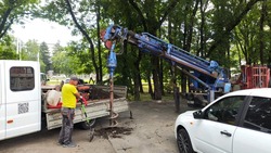 Новые уличные фонари установят во дворах и скверах Ставрополя 