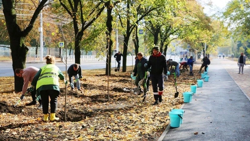 Почти 850 деревьев высадили в Ставрополе в 2023 году
